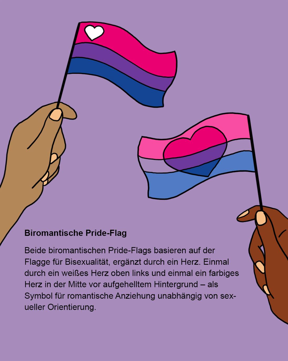 Auf dem Bild werden von zwei Händen zwei ähnliche Flaggen in die obere Mitte des Bildes gehalten. Beide Flaggen zeigen die Bisexuelle Pride Flagge (pink, lila, dunkelblau) mit einem dazugesetztem Herz. Die Flagge auf der linken Seite hat ein weißes Herz an die linke obere Ecke gesetzt, während die alternative Flagge auf der rechten Seite die Farben der Bisexuellen Flagge aufgehellt hat, sodass die Farben im Herzen in der Mitte voll saturiert sind.